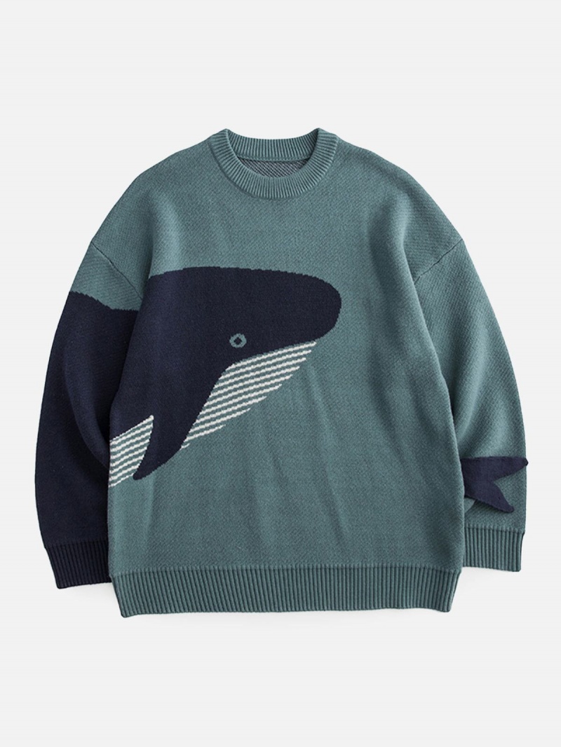 Blanche  Chandails Aelfric Eden The Loneliest Whale Knit - IVJ-4389252